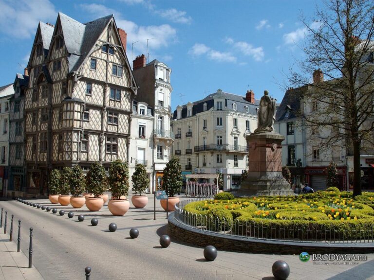 Une place de ville européenne avec une statue entourée de fleurs jaunes, des bâtiments historiques à colombages et blancs, des arbres en pot et un ciel bleu avec des nuages épars.