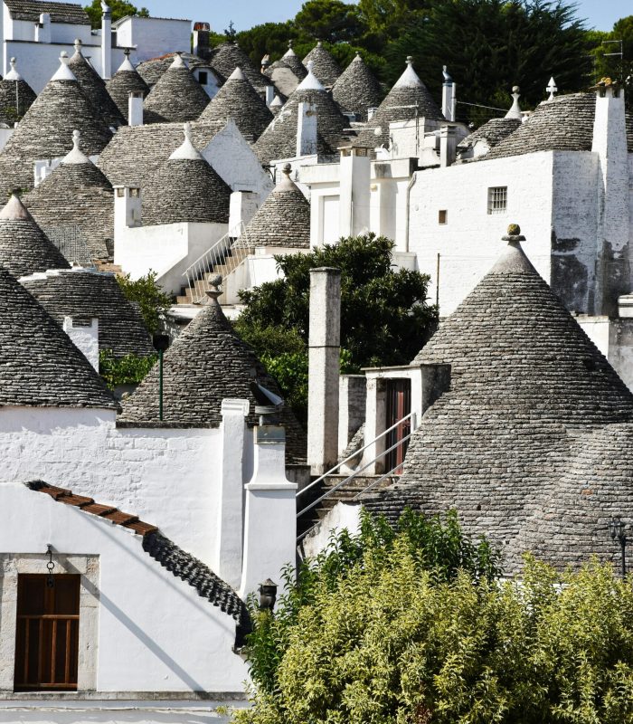 Dans un village ensoleillé entouré d'arbres verts, des rangées de bâtiments blancs traditionnels aux toits de pierre coniques, appelés trulli, se serrent les uns contre les autres.