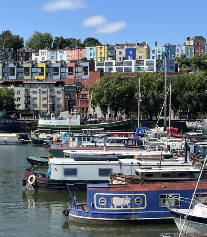 A harbour full of boats, with colourful terraced houses on a hill and green trees in the background, under a clear blue sky.