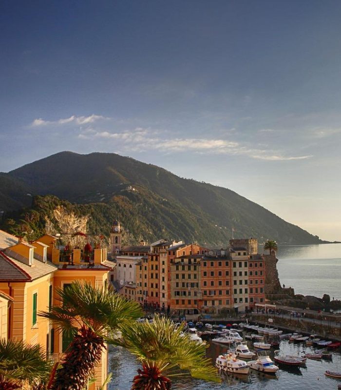 GENES_1_optimized_1759330764