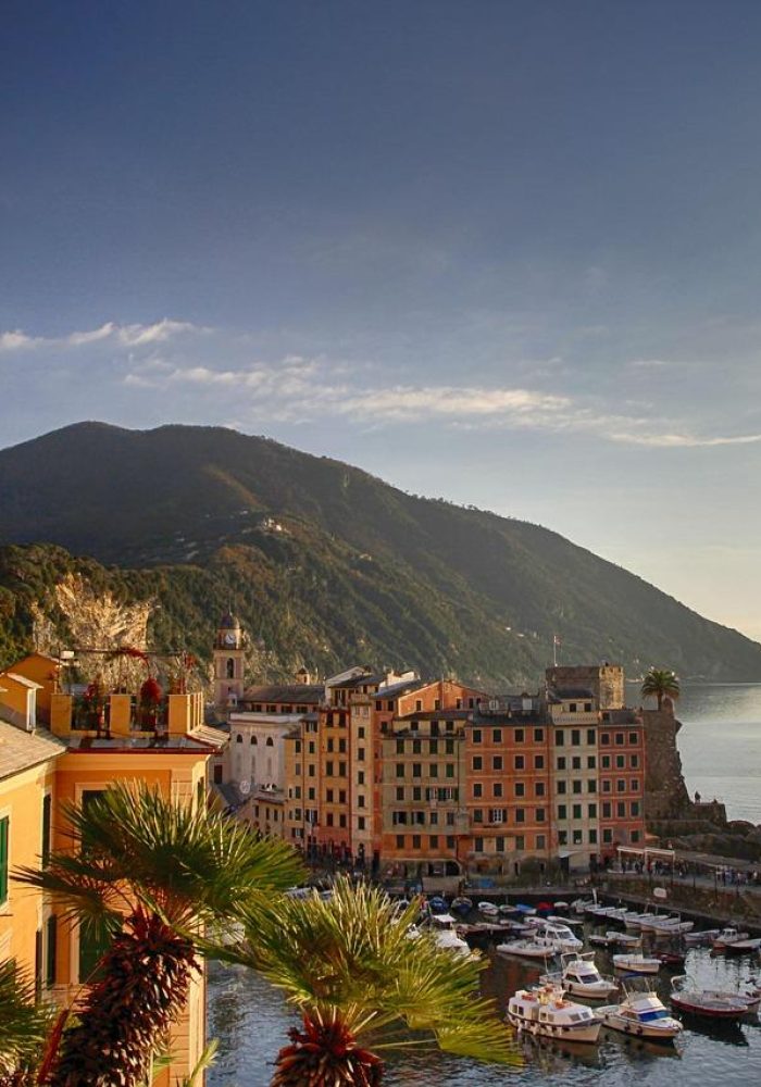 GENES_1_optimized_1759330764