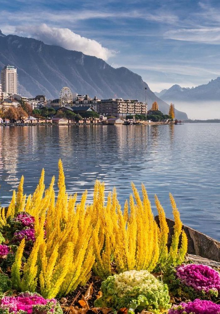 Des fleurs colorées bordent une promenade au bord d'un lac, avec des bâtiments et une grande roue, sur fond de montagnes, d'eau calme et de ciel partiellement nuageux. La scène est tranquille et pittoresque.
