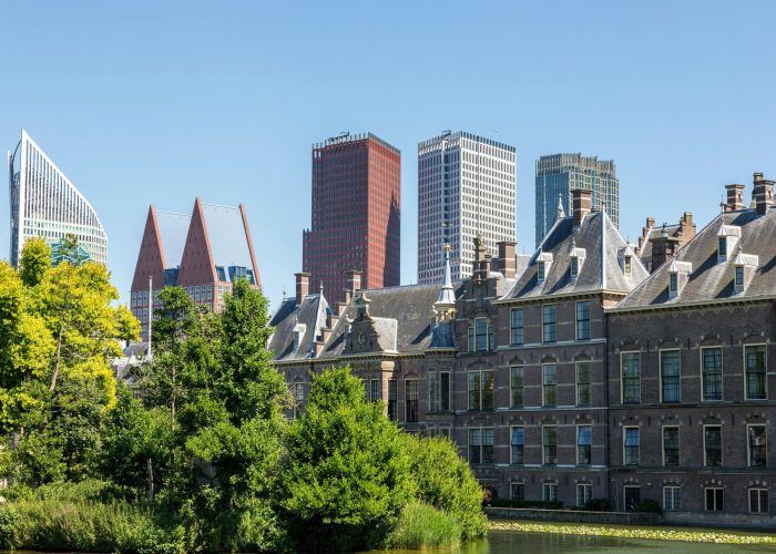 LA_HAYE_1_optimized_1759331922