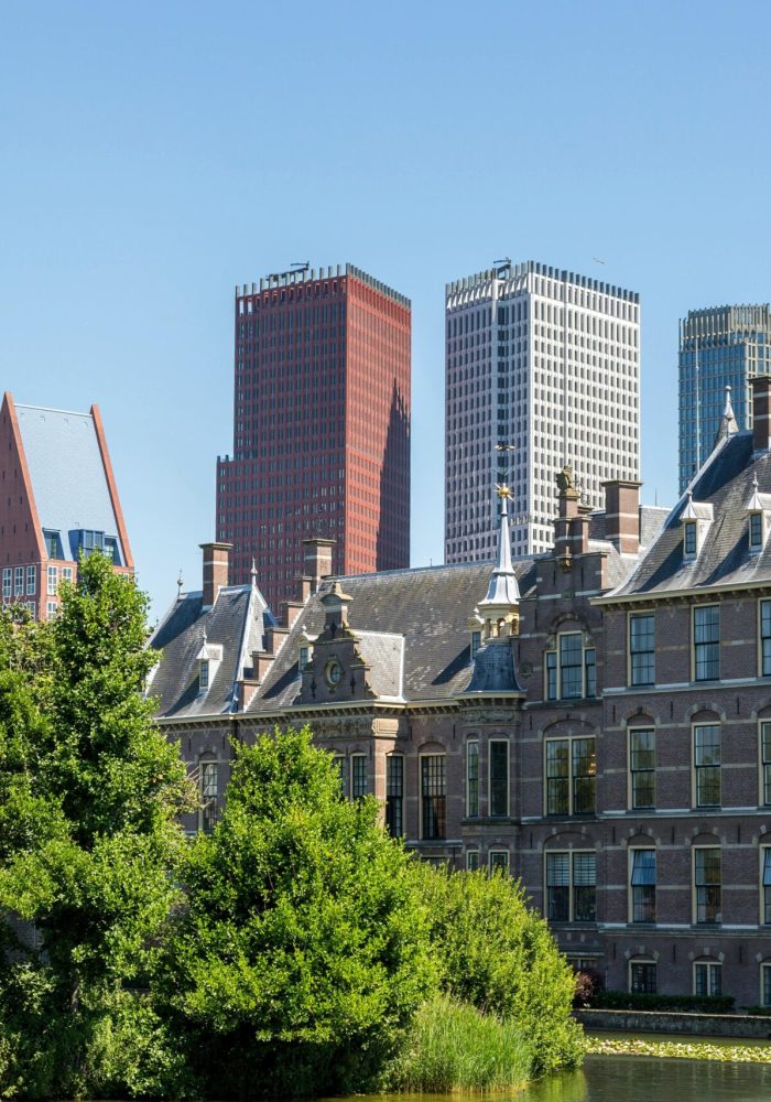 LA_HAYE_1_optimized_1759331922