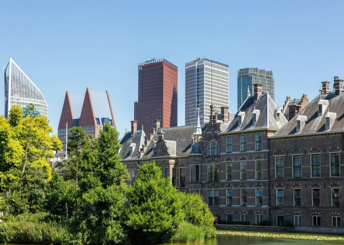 Vue de la ligne d'horizon de la ville de La Haye, avec des gratte-ciel modernes derrière l'architecture historique néerlandaise, des arbres et un étang au premier plan, sous un ciel bleu clair.