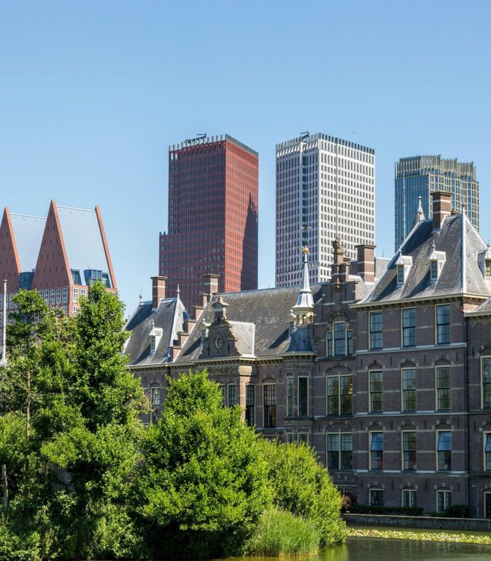 Vue de la ligne d'horizon de la ville de La Haye, avec des gratte-ciel modernes derrière l'architecture historique néerlandaise, des arbres et un étang au premier plan, sous un ciel bleu clair.