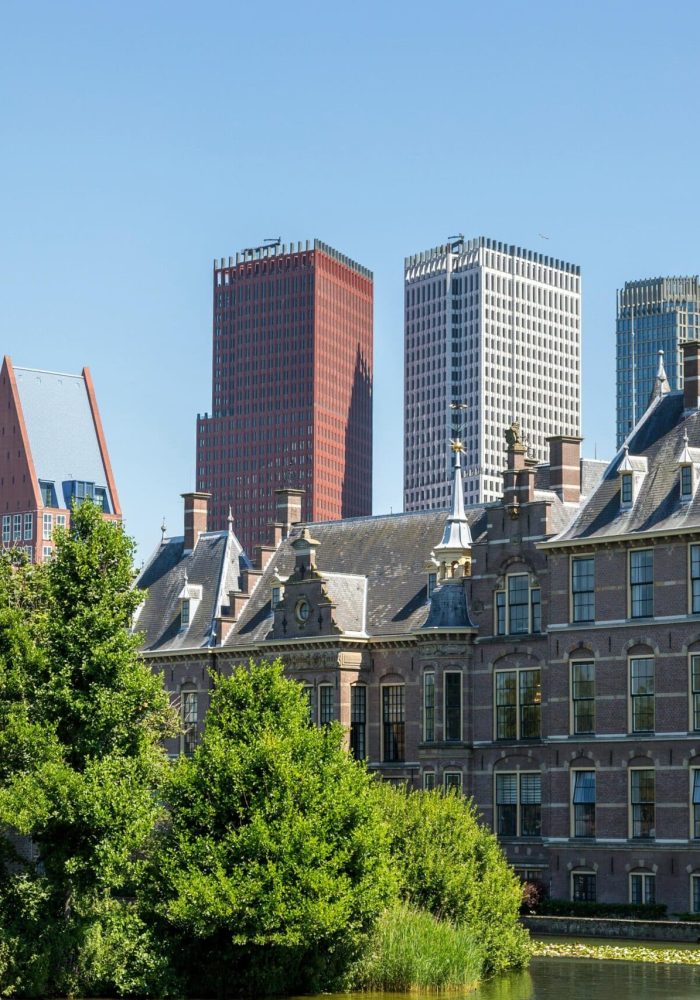 Vue de la ligne d'horizon de la ville de La Haye, avec des gratte-ciel modernes derrière l'architecture historique néerlandaise, des arbres et un étang au premier plan, sous un ciel bleu clair.