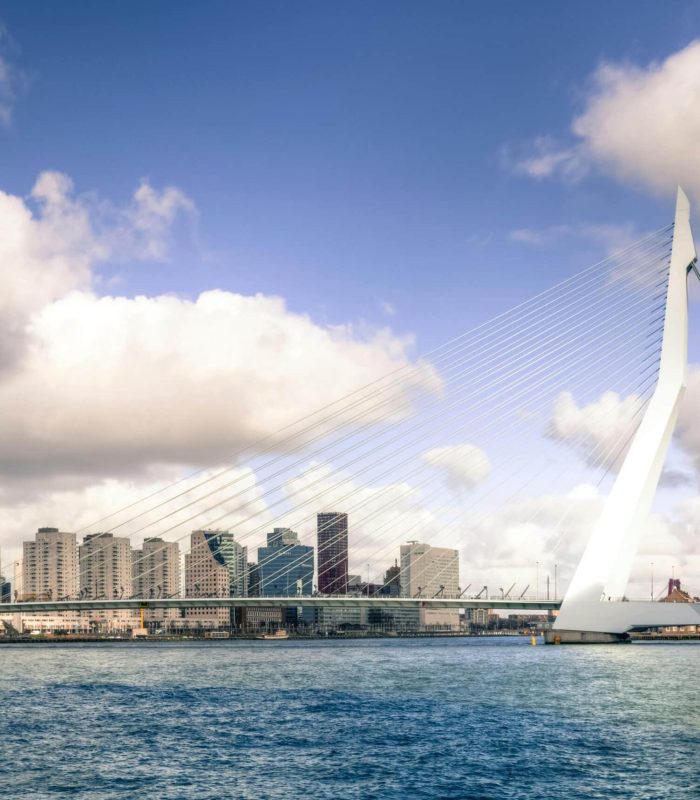 Un pont à haubans moderne traverse une large rivière avec, en arrière-plan, la silhouette d'une ville composée de grands immeubles, sous un ciel partiellement nuageux.