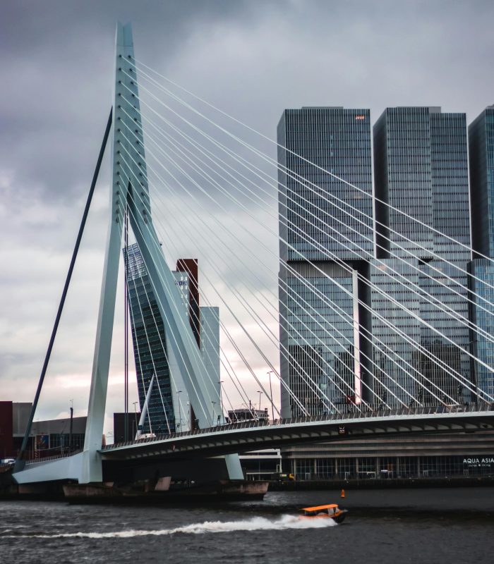 ROTTERDAM_3_optimized_1759331973