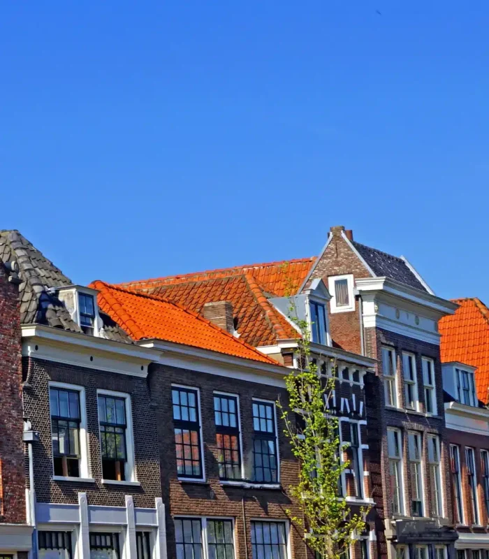 Rangée de maisons hollandaises traditionnelles aux toits à pignons et aux tuiles rouges sous un ciel bleu clair, avec de petits arbres devant les bâtiments.