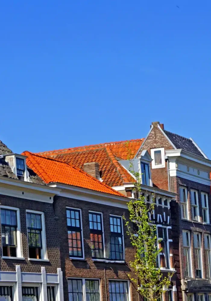 Rangée de maisons hollandaises traditionnelles aux toits à pignons et aux tuiles rouges sous un ciel bleu clair, avec de petits arbres devant les bâtiments.