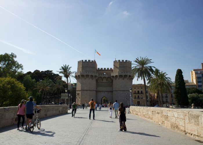 VALENCE_1_optimized_1759330517