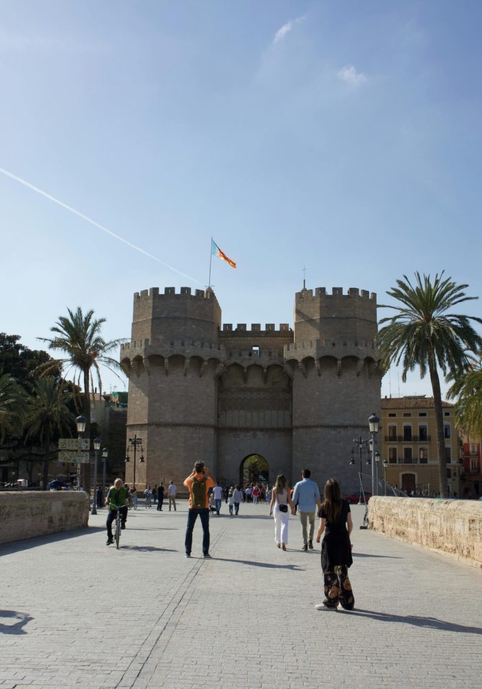 VALENCE_1_optimized_1759330517